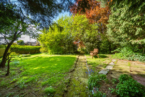 REAR GARDEN- click for photo gallery